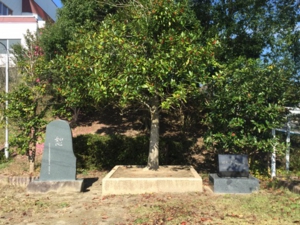 記念碑施工事例｜利府第二小学校